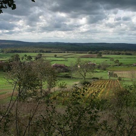 Le coeur du Lys Villa Chissey-les-Macon Eksteriør billede