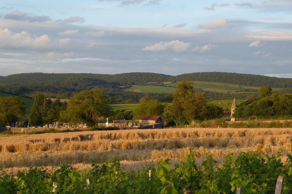 Le coeur du Lys Villa Chissey-les-Macon Eksteriør billede